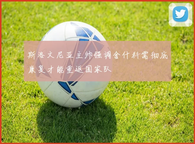 斯洛文尼亚主帅强调舍什科需彻底康复才能重返国家队